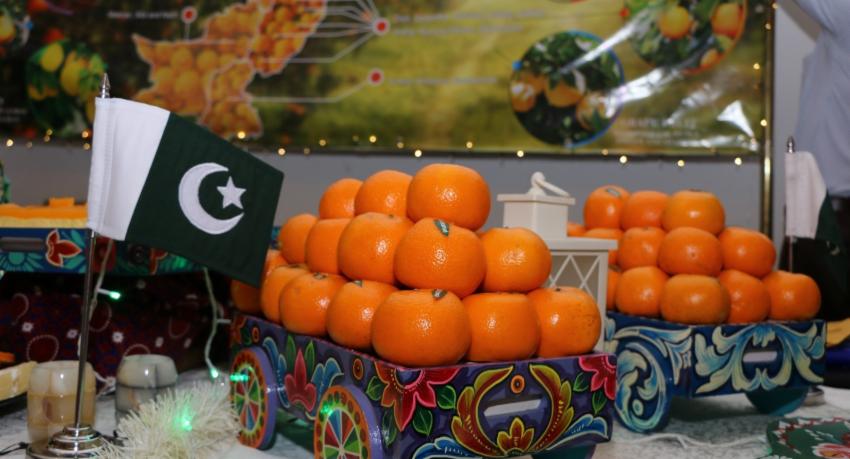 Pakistan promotes Kinnows in Sri Lanka